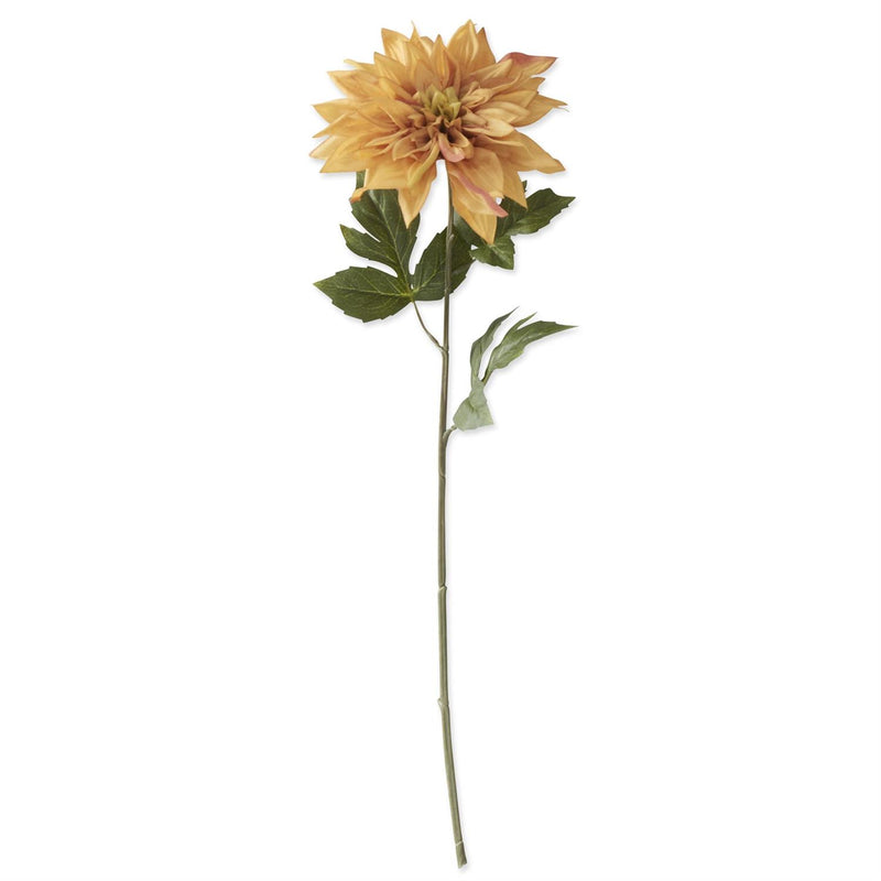 Yellow and Pink Dahlia Stem