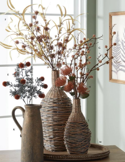Brown Sycamore Fruit Ball Branch