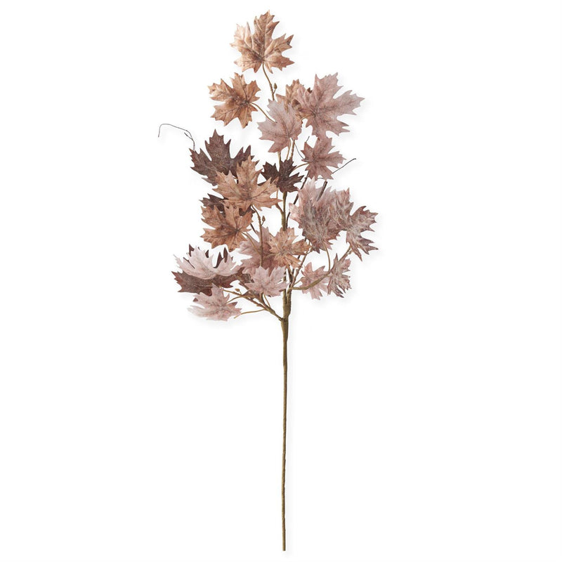 Sugar Maple Leaf Stem