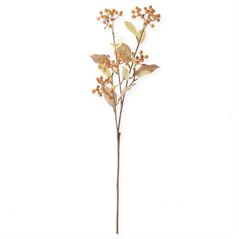Orange Berry Stem