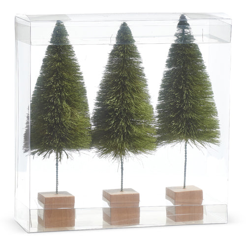 Box of 3 Green Bottle Brush Tree