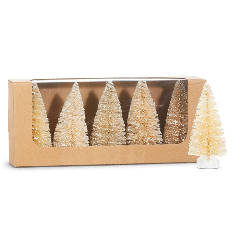 Box of 5 Snowy Natural Bottle Brush Trees
