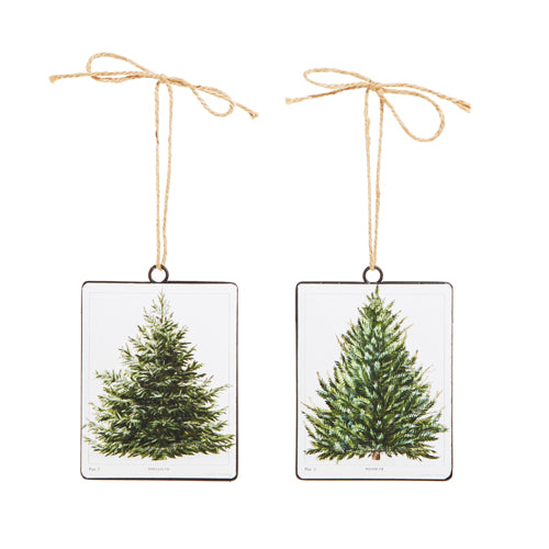 Fir Tree Disc Ornament - 3 Options