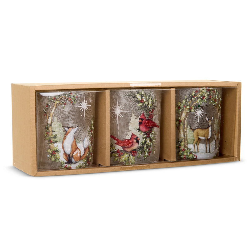 Set of three mugs with nature-themed designs in a wooden box on a white background