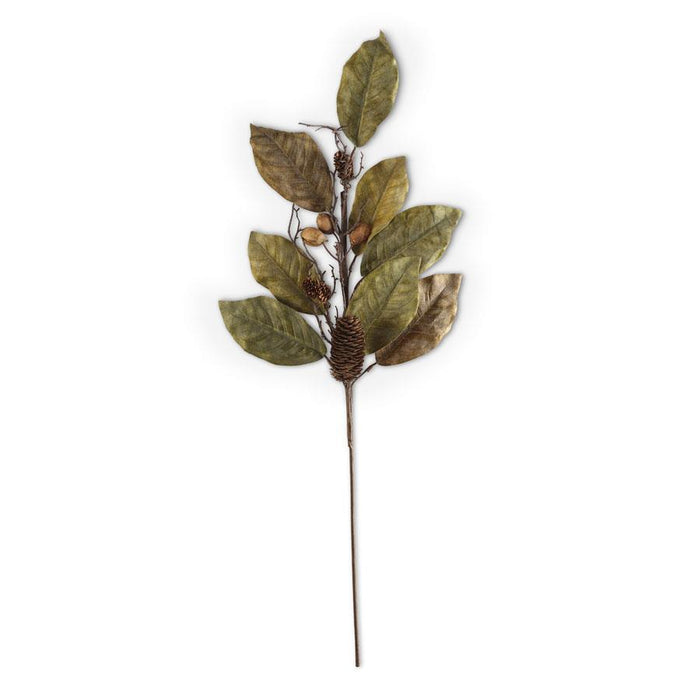 Magnolia Pinecone and Nut Stem