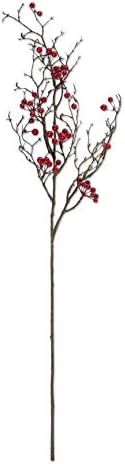Red Berry Stem