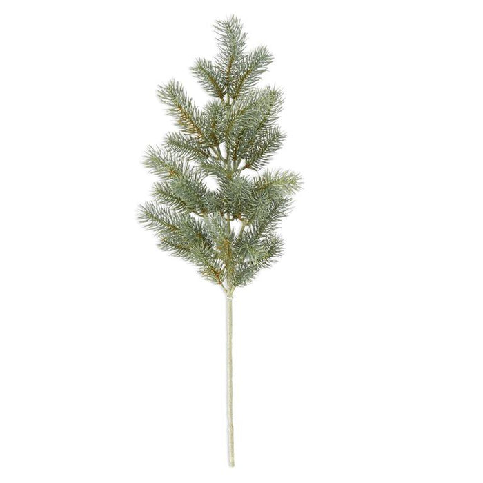 Soft Green Pine Stem