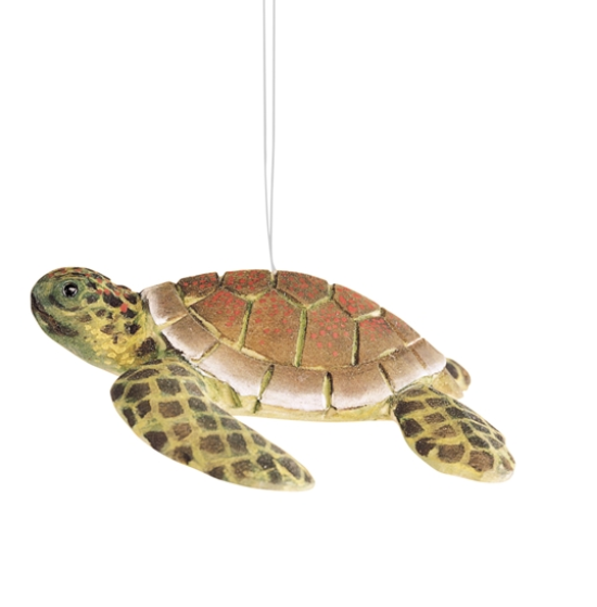 Model of a turtle on a white background