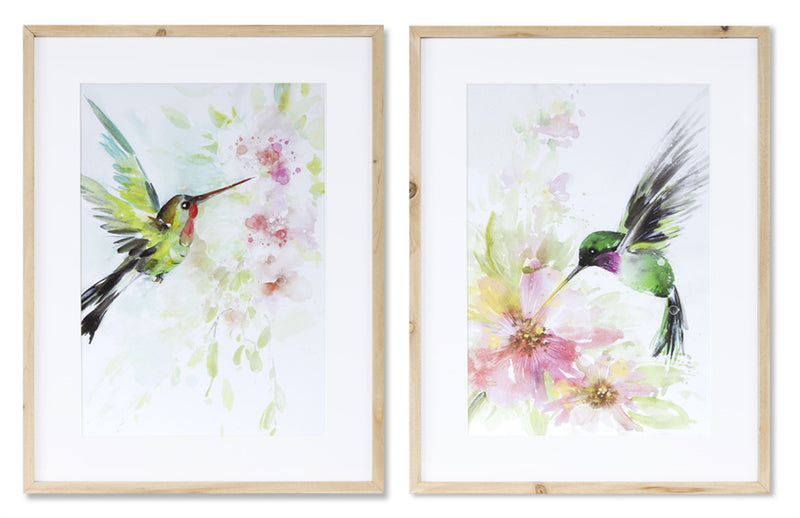 Hummingbird Watercolor Prints