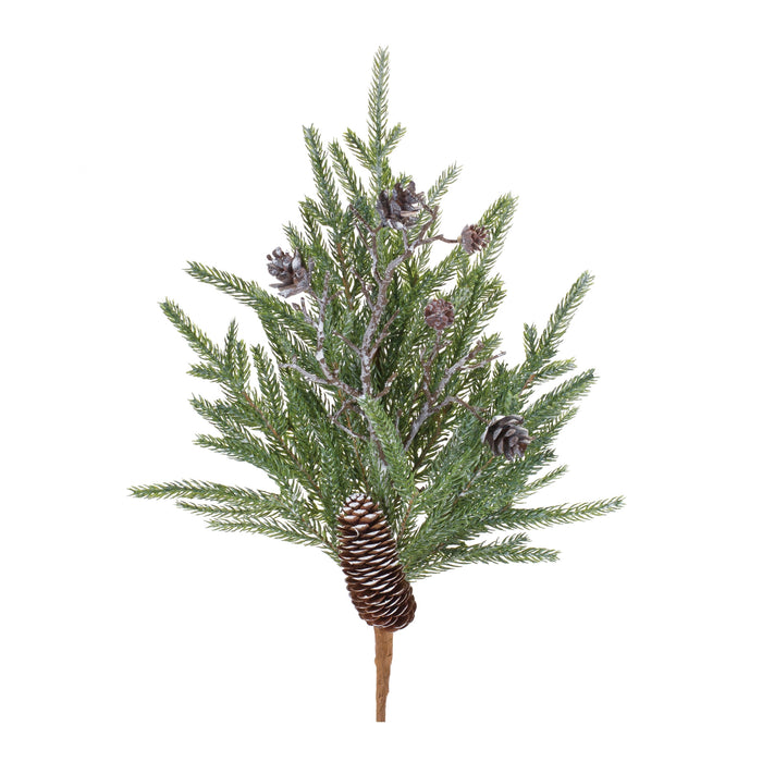 Pine and Cone Stem