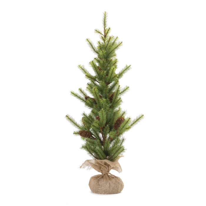 Pine Tree with Burlap Base