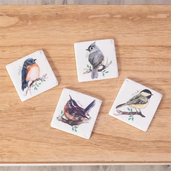 Four square coasters with bird illustrations on a wooden surface