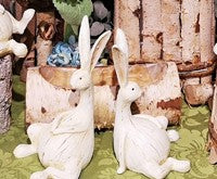 Two white rabbits sitting on a grassy area with wooden logs in the background