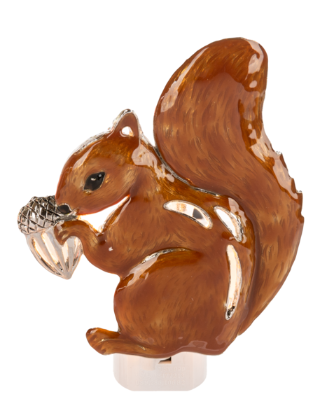 Squirrel Night Light