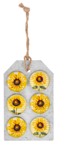 Sunflower Magnet Set