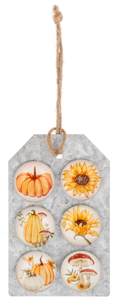 Harvest Bloom Magnet Set