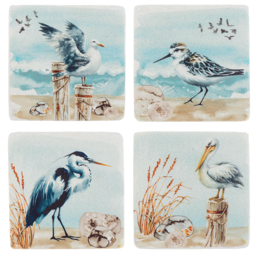 Set of four coasters with beach-themed illustrations of birds and natural elements.