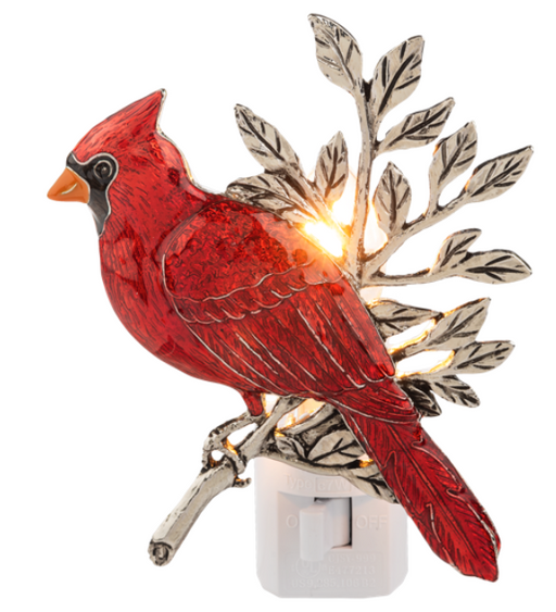 Red cardinal bird night light on a white background