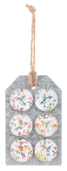 Hummingbird Magnet Set
