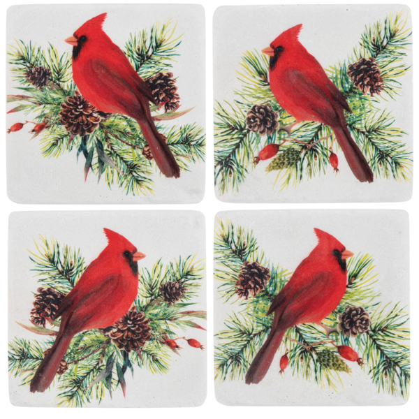 Cardinal Coaster