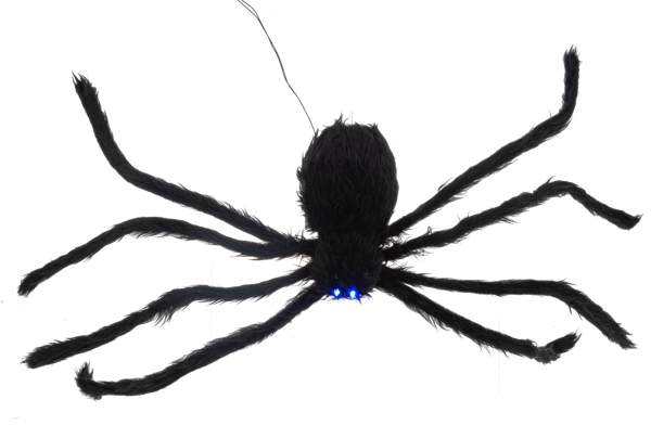 Vertical Crawling Spider with Flashing Eyes and Spooky Sounds