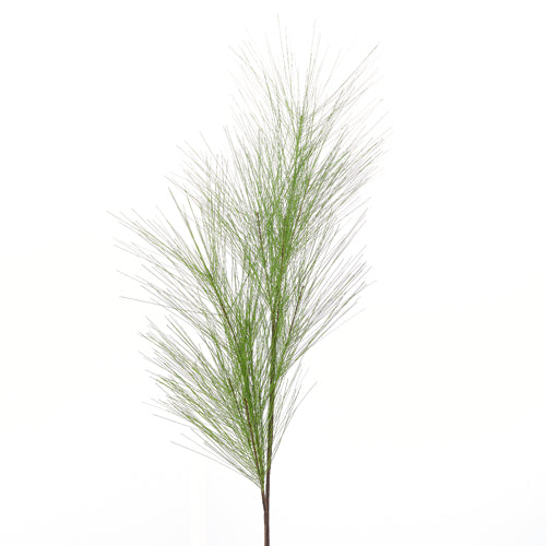 Long Pine Needle Spray