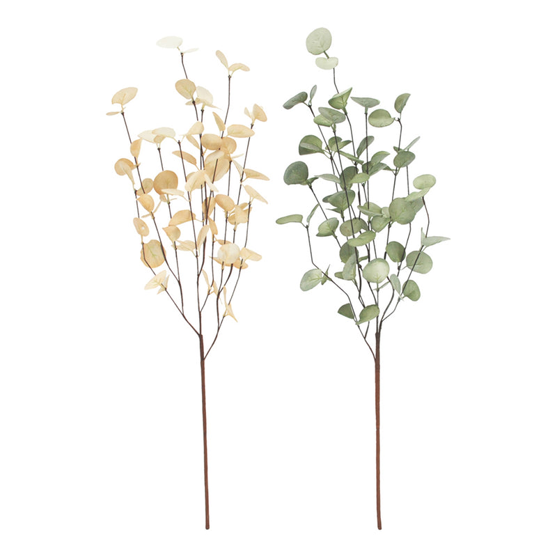 Green and Yellow Eucalyptus Stems