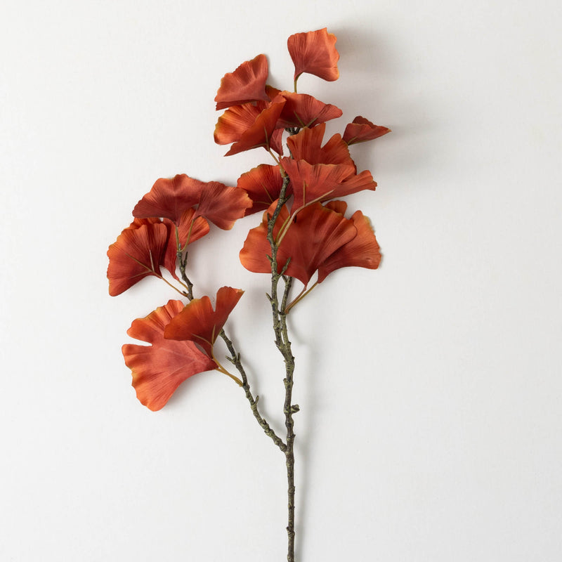 Red Fall Ginko Spray