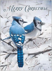 Two blue jays on a branch with snow, 'Merry Christmas' text above.