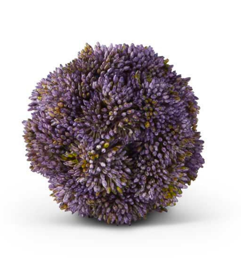 Sedum Ball - 4" - 4 Colors