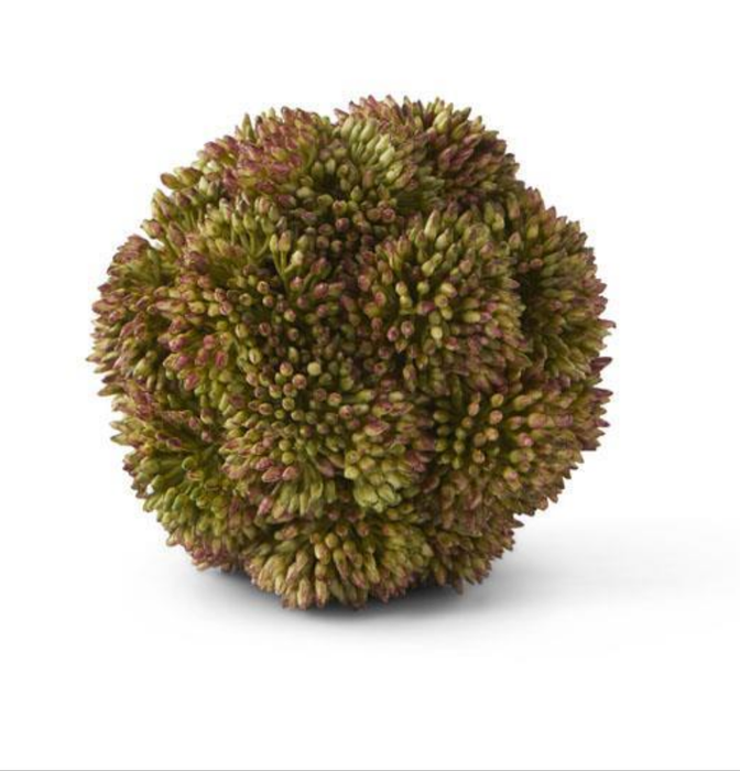Purple Sedum Ball - 4" - 4 Colors