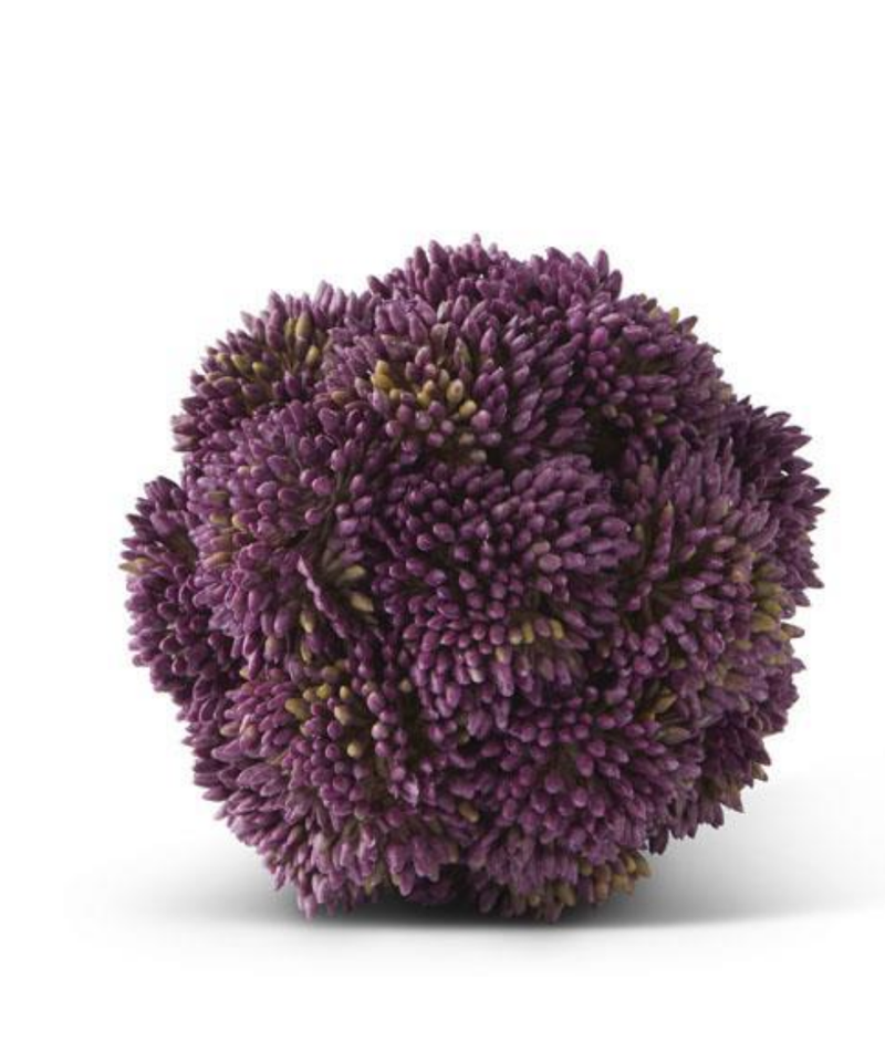 Sedum Ball - 4" - 4 Colors