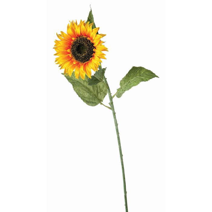 Sunflower Stem