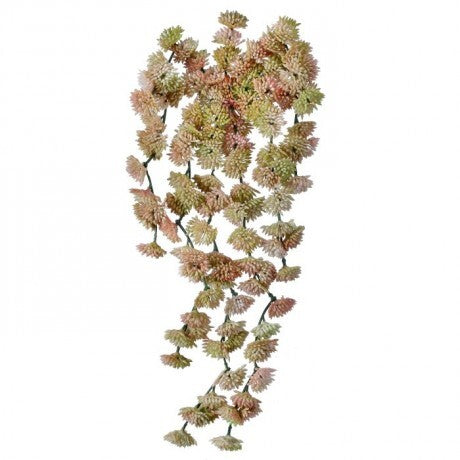 Hanging Sedum Vine Pick