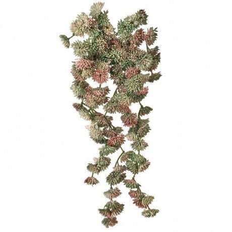 Hanging Sedum Vine Pick