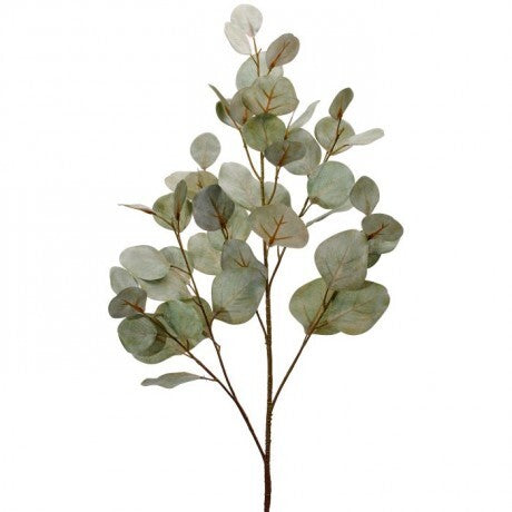 Silver Dollar Eucalyptus Spray - 3 Options