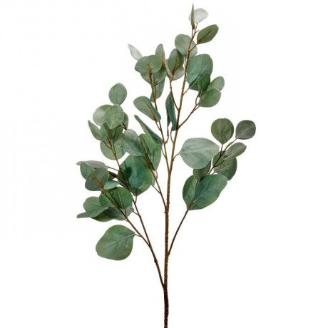 Silver Dollar Eucalyptus Spray - 3 Options