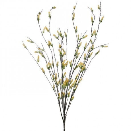 Flowering Willow Bush
