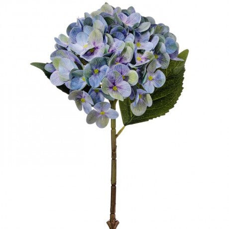 Blue Hydrangea Stem