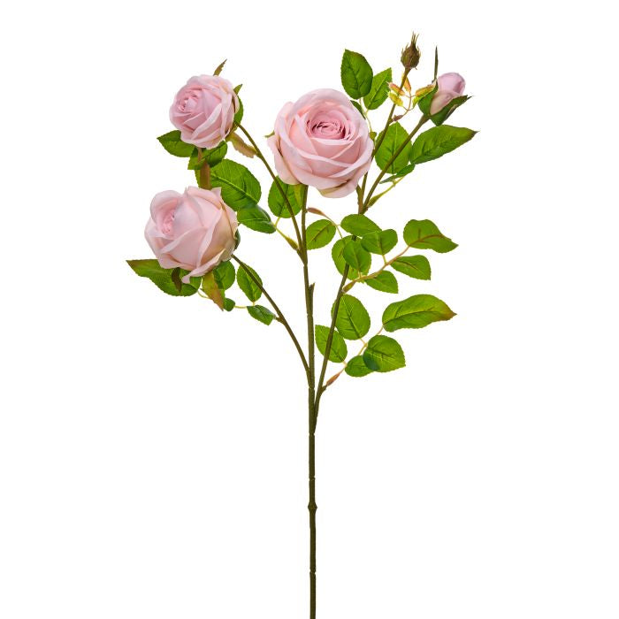Rose Spray