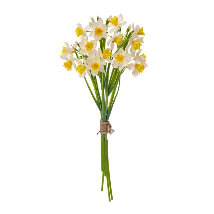 Narcissus Bundle Stem