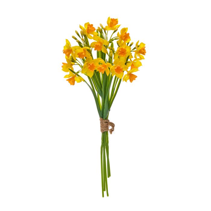 Narcissus Bundle Stem