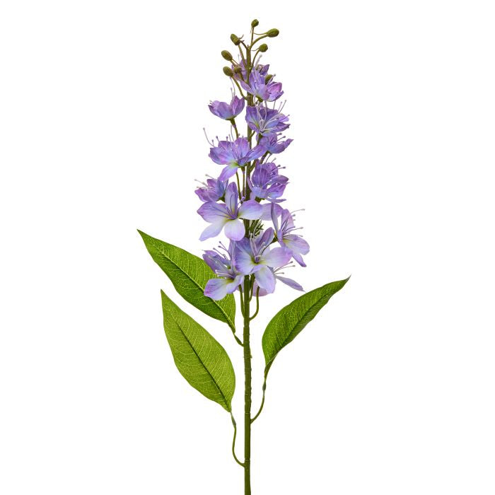 Honey Blossom Stalk Stem