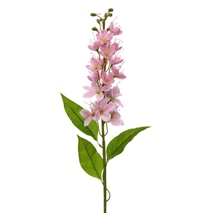 Honey Blossom Stalk Stem