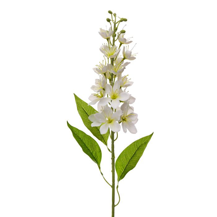 Honey Blossom Stalk Stem