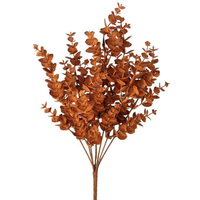 Autumn Eucalyptus Bush
