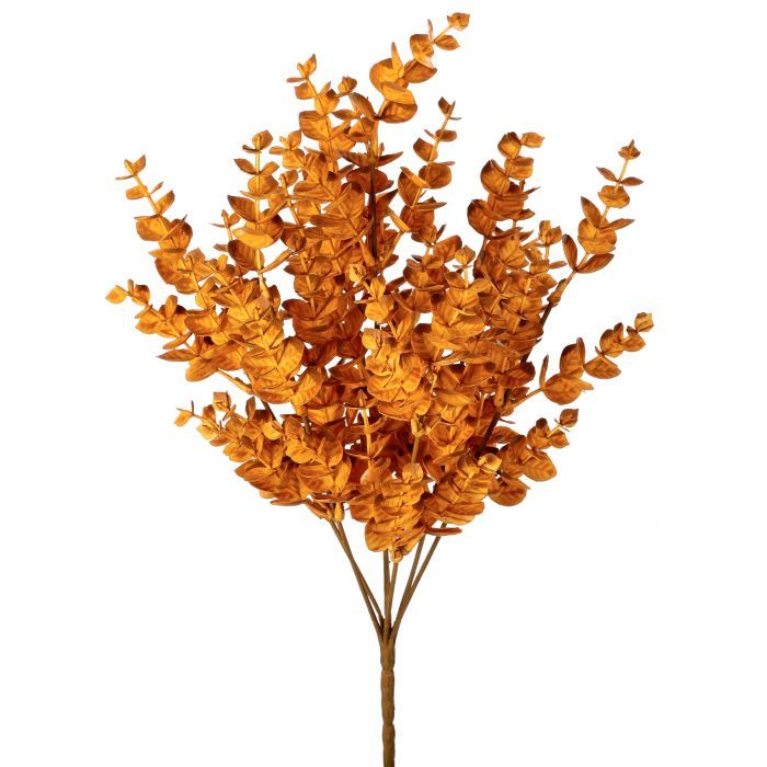 Autumn Eucalyptus Bush