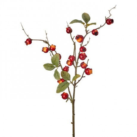 Autumn Crabapple Spray