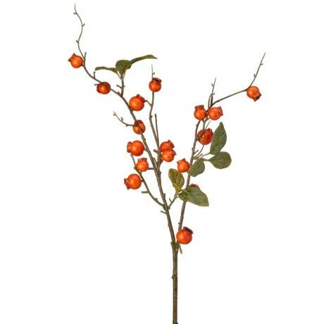 Autumn Crabapple Spray