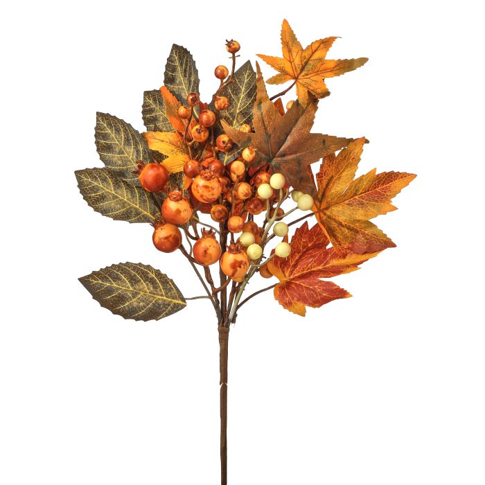 Fall Berry And Leaf Pick